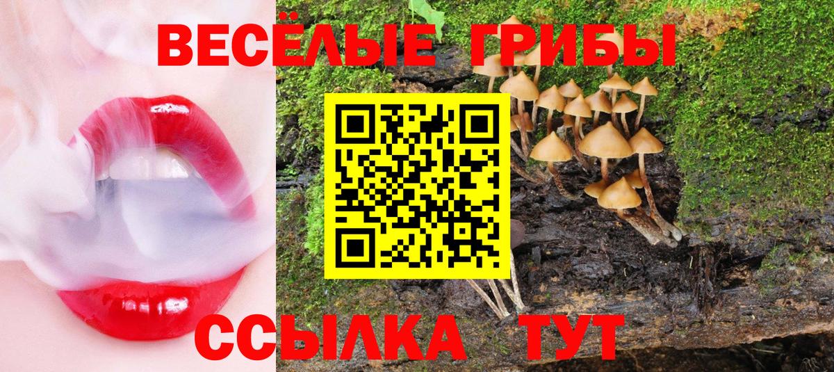 Галлюциногенные грибы GOLDEN TEACHER  Вход с VPN  Псилоцибиновые грибы Magic Shrooms  Истра 