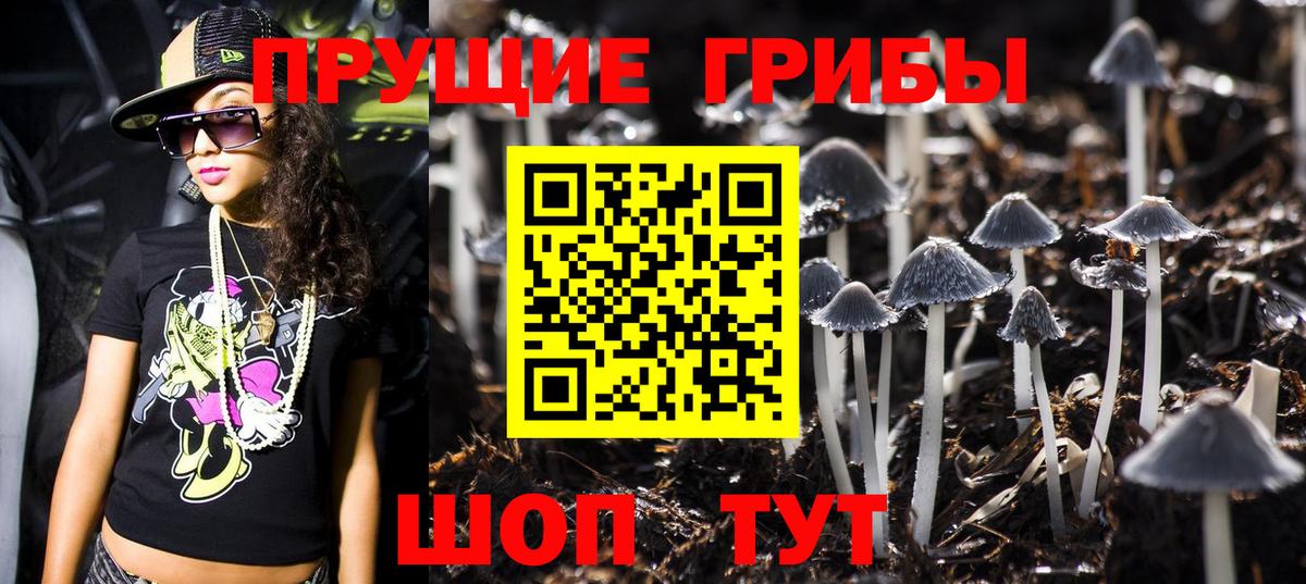 Псилоцибиновые грибы Cubensis Истра