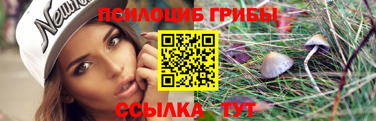 Галлюциногенные грибы Psilocybine cubensis  Галлюциногенные грибы MAGIC MUSHROOMS  Истра 